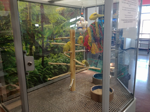 Pet Groomer «We Lov Pets», reviews and photos, 3853 Northpointe Dr, Zanesville, OH 43701, USA