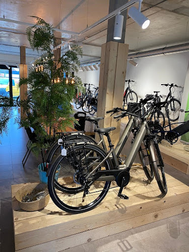 Beoordelingen van Wildiers (e)-bikecenter lochristi in Dendermonde - Fietsenwinkel