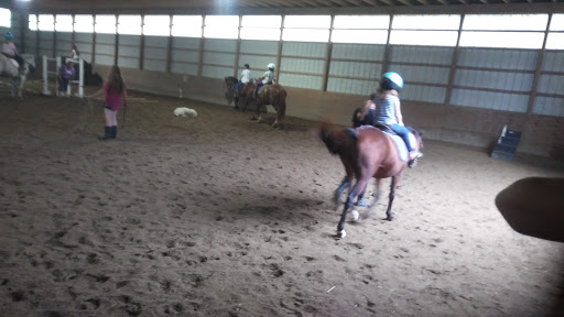 Horse Riding School «Horseng Farm LLC», reviews and photos, 6475 Warden Rd, New Tripoli, PA 18066, USA