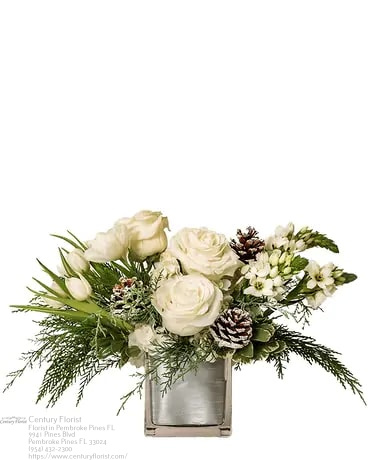 Florist «Century Florist», reviews and photos, 9941 Pines Blvd, Hollywood, FL 33025, USA