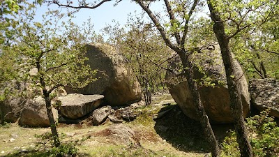 Photos of Goranitsa