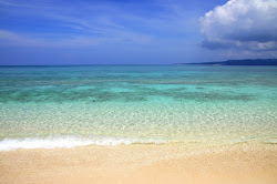 Puka Shell Beach'in fotoğrafı ve yerleşim