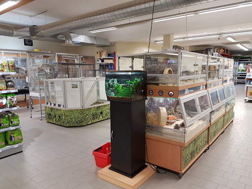 Zoo & Co. Offenburg unter Offenburg, 