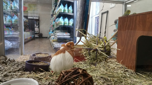 Pet Store «Kahoots Feed & Pet Store», reviews and photos, 16851 Van Buren Blvd, Riverside, CA 92504, USA