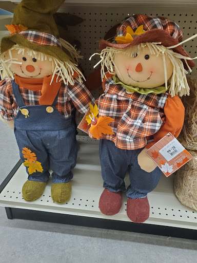 Discount Store «Big Lots», reviews and photos, 2631 MacArthur Rd, Whitehall, PA 18052, USA