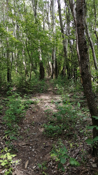 Kisbácsai Erdei Biciklis Cros Pálya 15 km