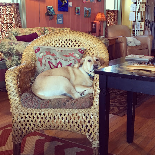 Coffee Shop «Dancing Turtle Coffee Shop», reviews and photos, 58079 NC-12, Hatteras, NC 27943, USA