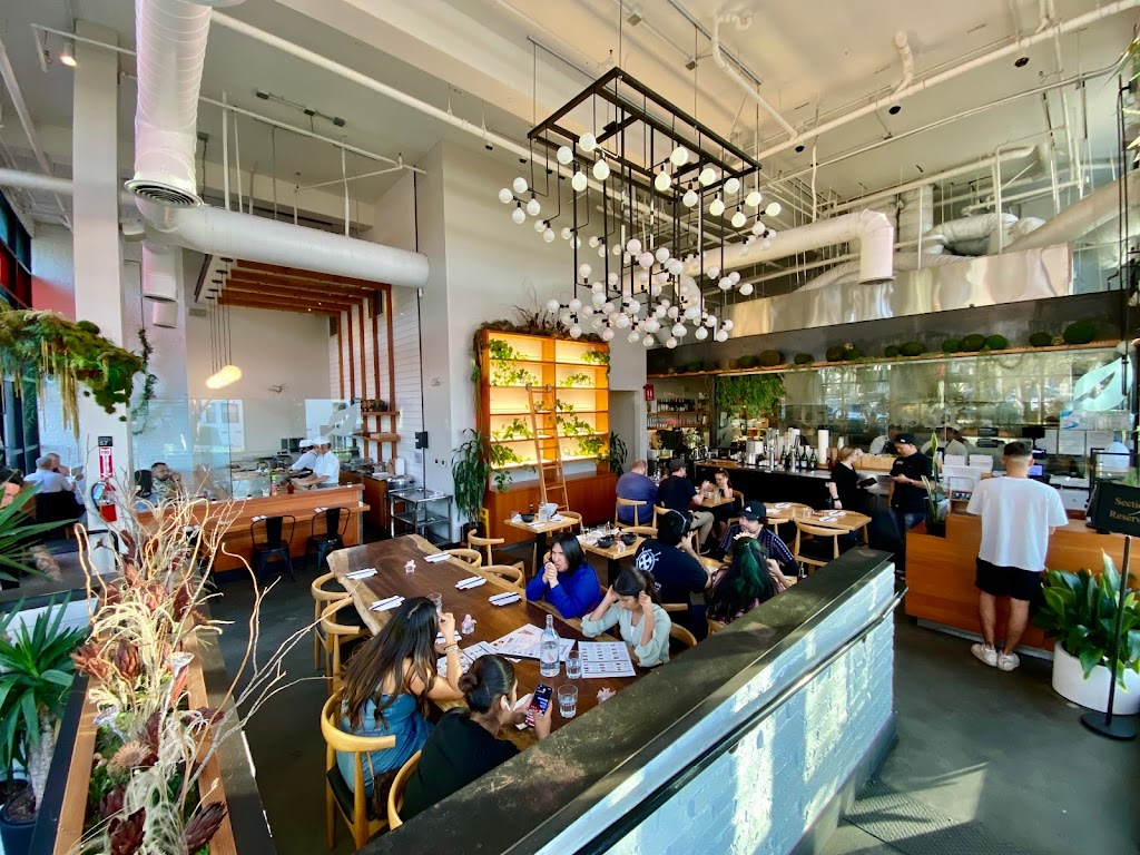 The Yasai: Vegan Japanese Experience at Little Italy 92101