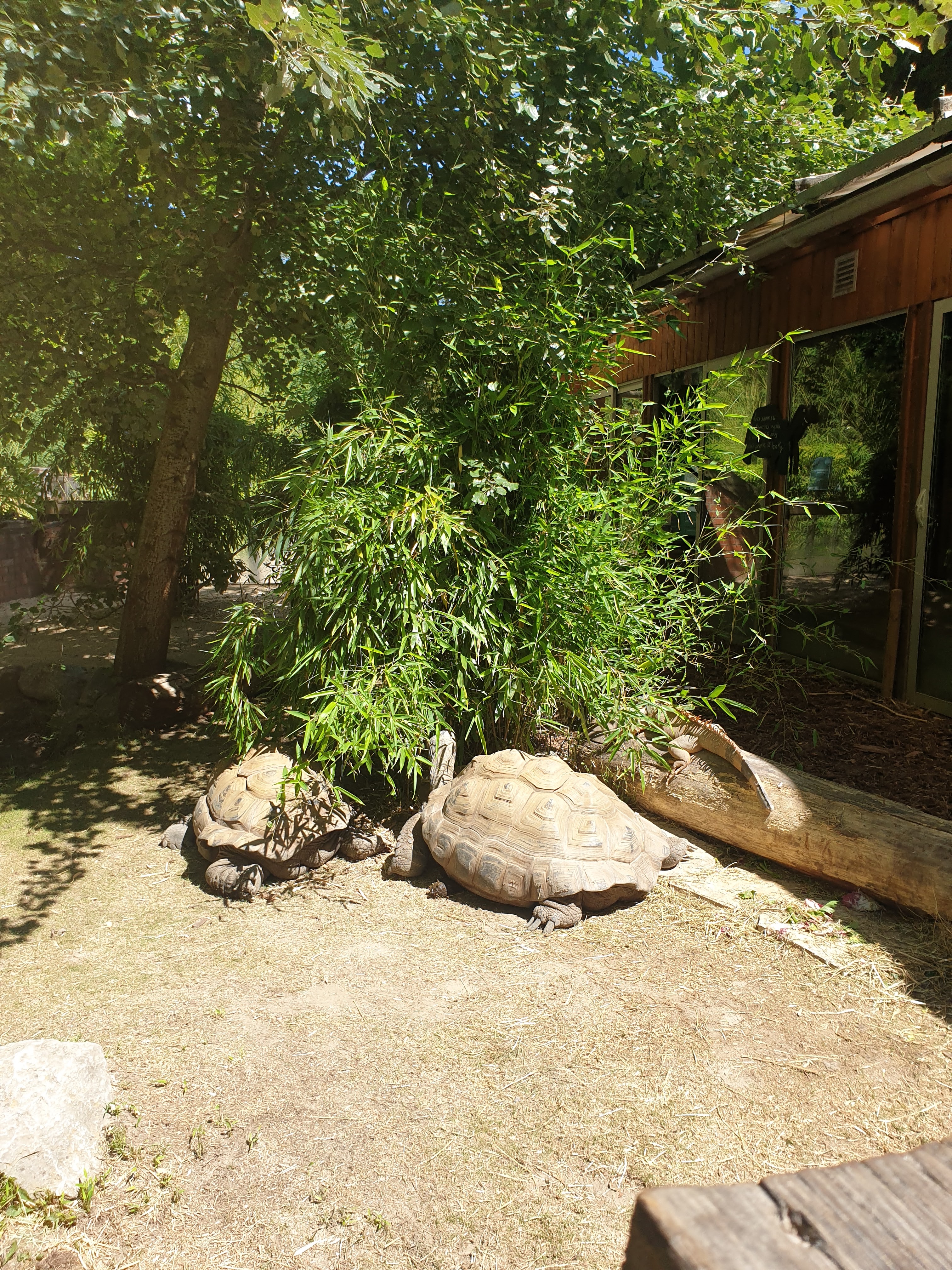 Photo n° 7 de l'avis de Ho.a fait le 16/07/2022 à 15:46