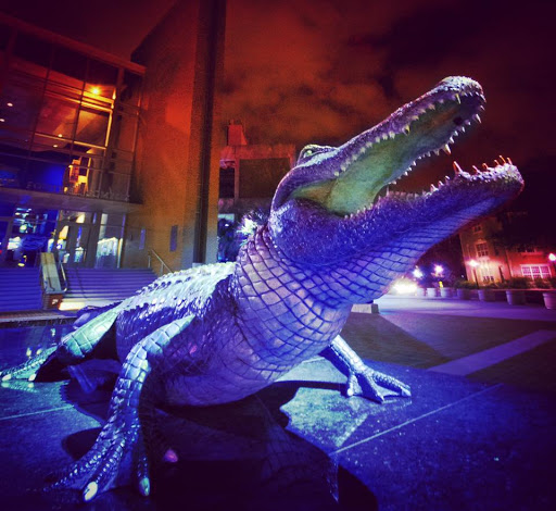 Locksmith «Be Secure Locksmith», reviews and photos, 3438 SW 24th Ave Suite B, Gainesville, FL 32607, USA