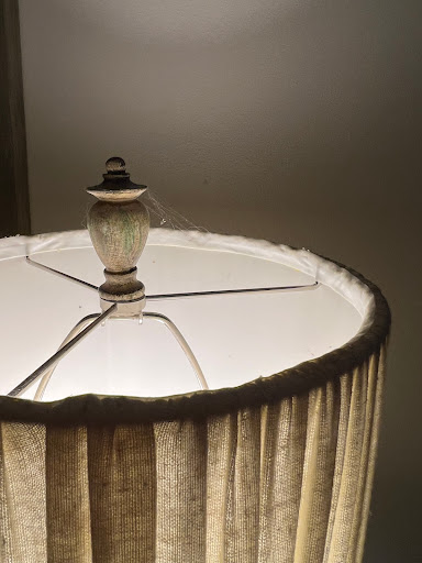 House Cleaning Service «MaidPro Salt Lake», reviews and photos, 4796 S Fortuna Way, Salt Lake City, UT 84124, USA