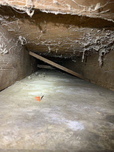 Carpet Cleaning Service «Stanley Steemer of Spokane», reviews and photos, 2710 N Felts Rd, Spokane, WA 99206, USA