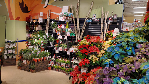 Supermarket «Millbrook Plaza», reviews and photos, 2 Millbrook Plaza Ln, Mill Hall, PA 17751, USA