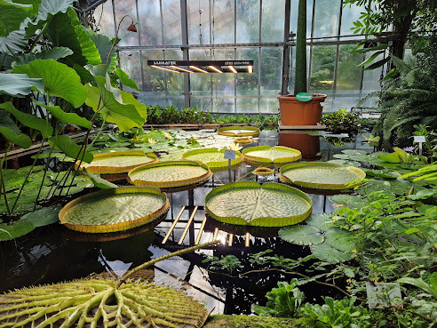 Botanical Garden by null