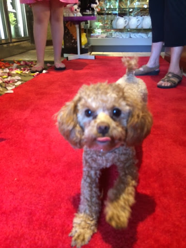 Florist «Bouquets By Christine», reviews and photos, 792 NY-82, Hopewell Junction, NY 12533, USA