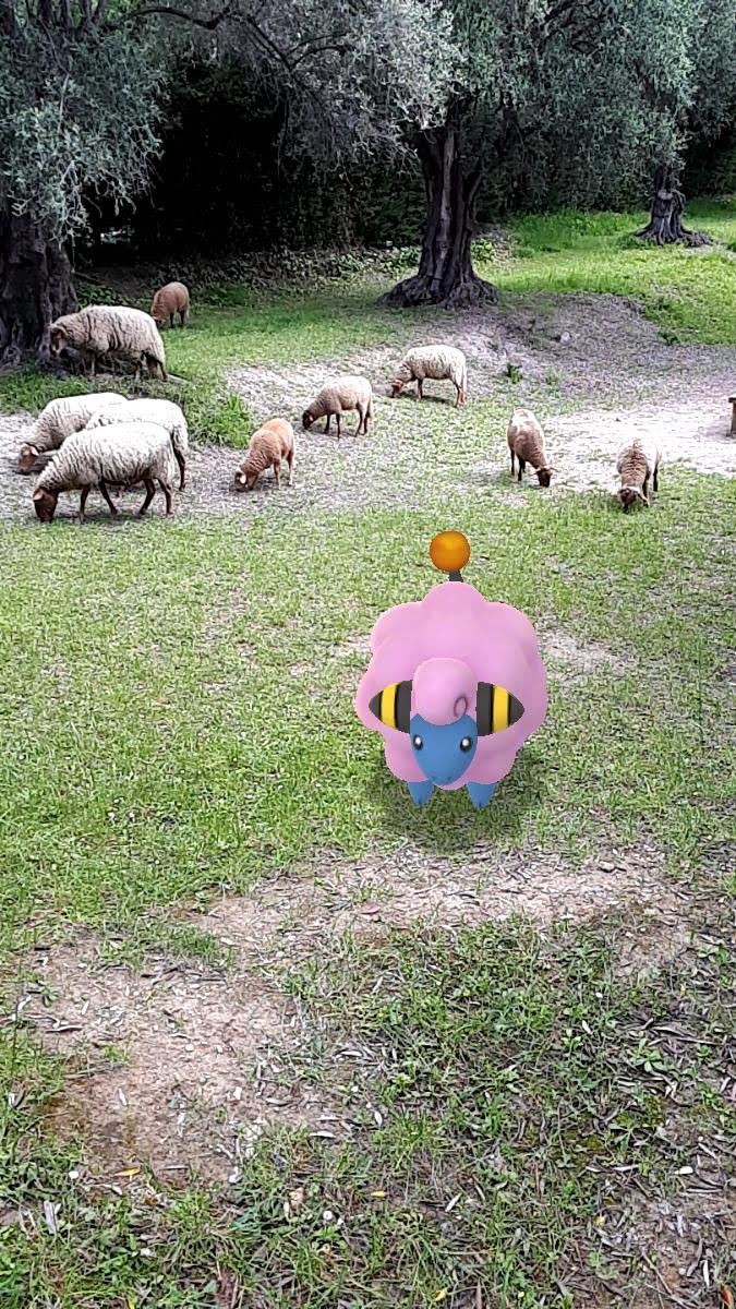 Photo n° 1 de l'avis de Yohann.a fait le 28/05/2020 à 12:28