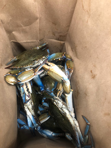 Supermarket «Jumbo Food International Supermarket», reviews and photos, 3201 Brinkley Rd, Temple Hills, MD 20748, USA