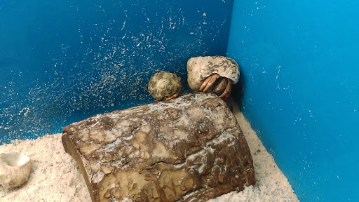 Pet Supply Store «PetSmart», reviews and photos, 3500 IN-38, Lafayette, IN 47905, USA