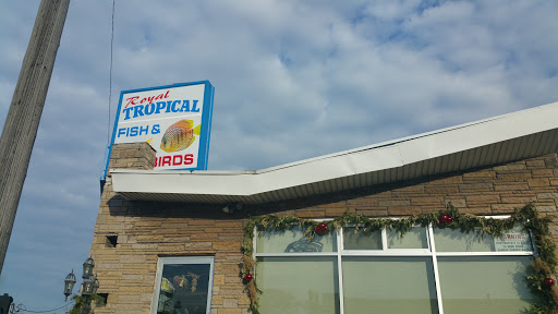 Tropical Fish Store «Royal Tropical Fish & Bird», reviews and photos, 1324 Hartrick Ave, Royal Oak, MI 48067, USA