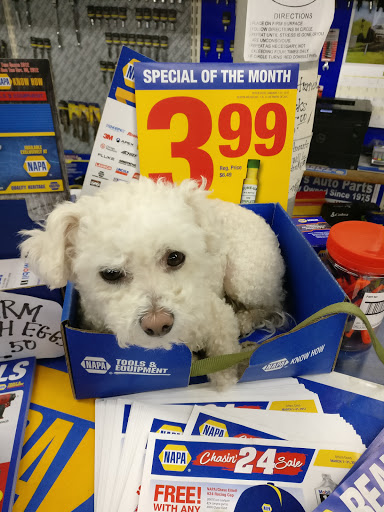 NAPA Auto Parts - Hall's Auto Parts Co