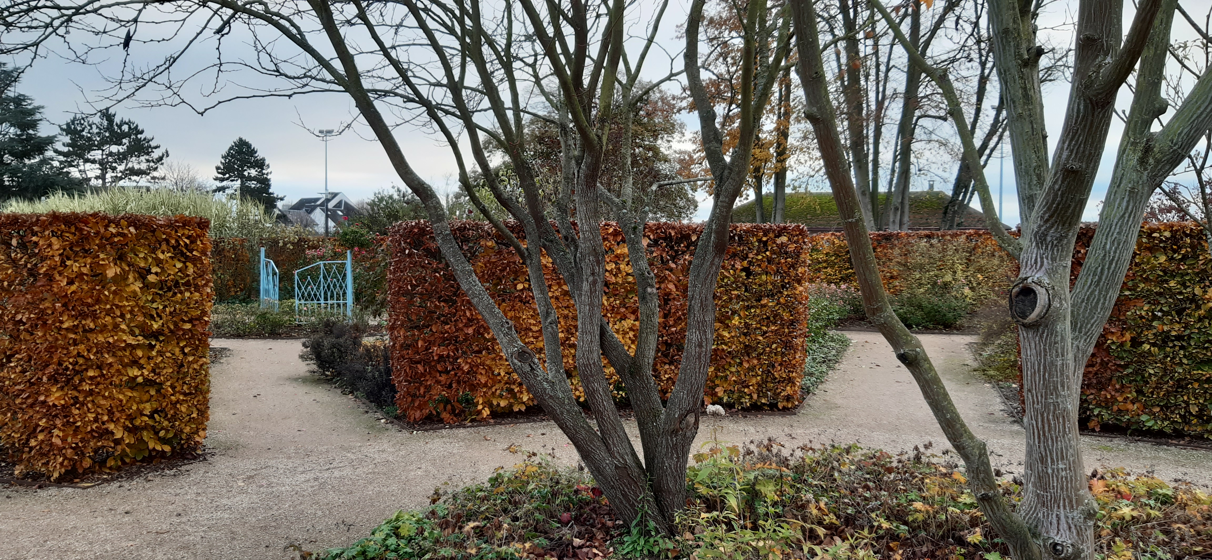 Photo n° 2 de l'avis de Benoit. fait le 24/11/2019 à 20:11