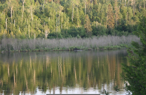 National Park «Isle Royale National Park», reviews and photos