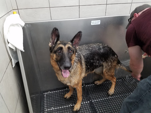 Pet Supply Store «Pet Supplies Plus», reviews and photos, 2912 Council Tree Ave #100, Fort Collins, CO 80525, USA