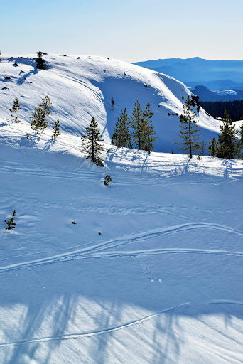 National Reserve «Mount St. Helens National Volcanic Monument», reviews and photos, 3029 Spirit Lake Hwy, Castle Rock, WA 98611, USA