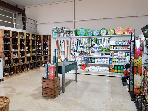 Camp i Corral - Alzira