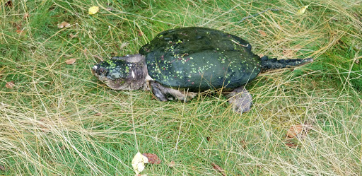 Golf Course «Hudson Hills Golf Course», reviews and photos, 400 Croton Dam Rd, Ossining, NY 10562, USA