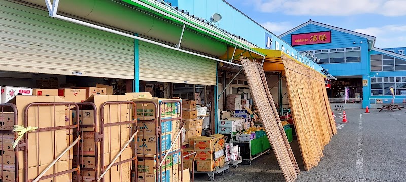 やまさん青果 日立おさかなセンター店