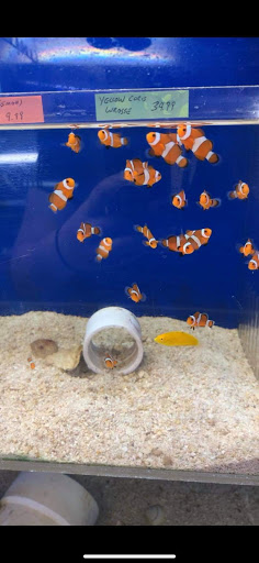 Tropical Fish Store «Coral Reef Aquariums», reviews and photos, 8416 N Armenia Ave, Tampa, FL 33604, USA