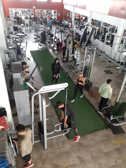 Gym Powerful - Ignacio Aldama Mz 3 Lote 4, Miguel Hidalgo, 55490 Ecatepec de Morelos, Méx., Mexico