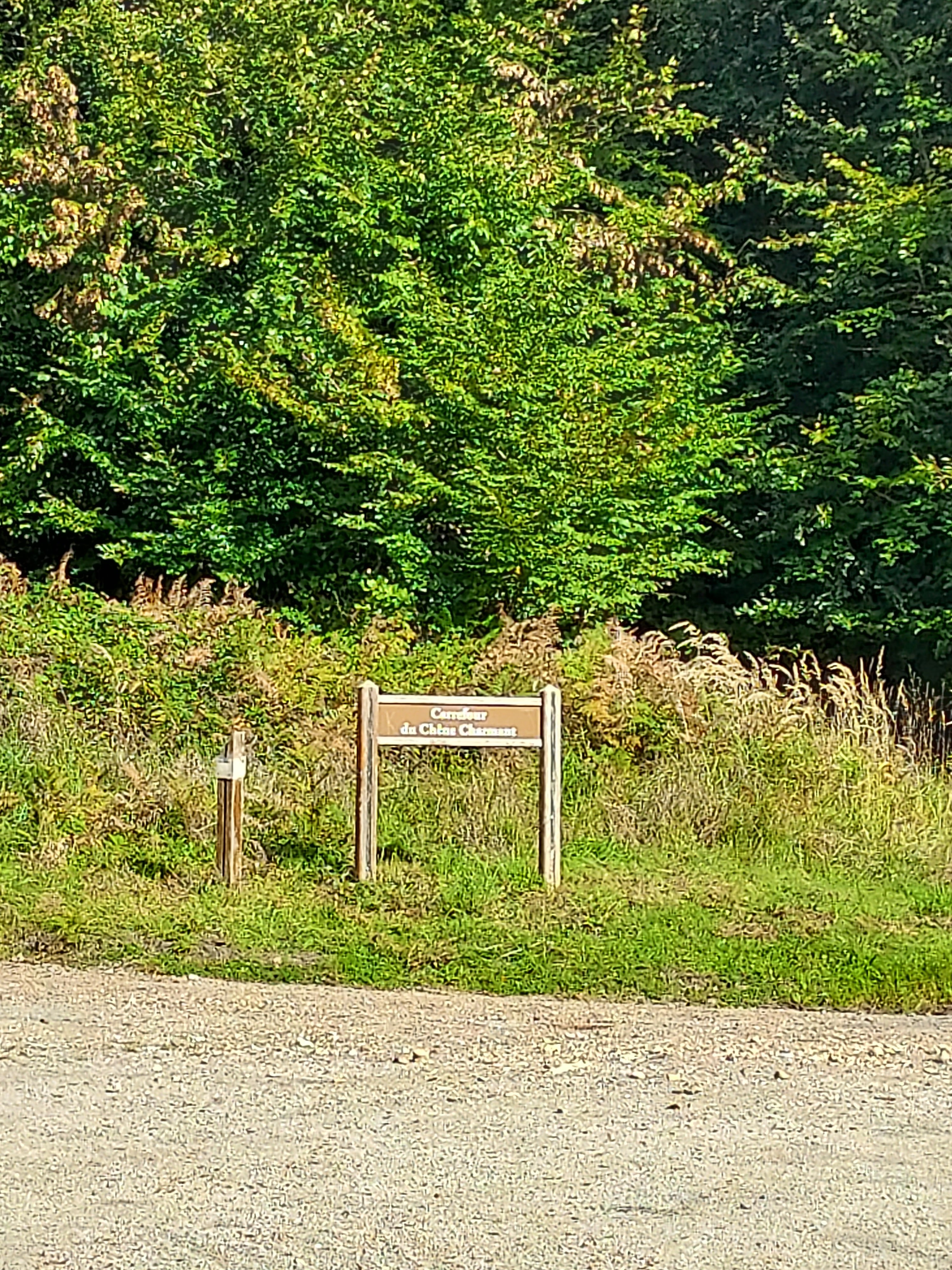 Photo n° 4 de l'avis de Agnès.e fait le 14/10/2023 à 07:21