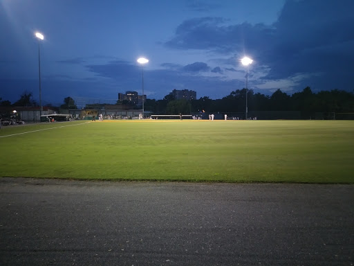 Baseball field Alexandria