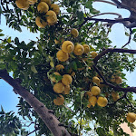 Photo n°2 de l'avis de Gianluca.a fait le 28/12/2021 à 08:21 sur le  Hotel Diana Pompei à Pompei