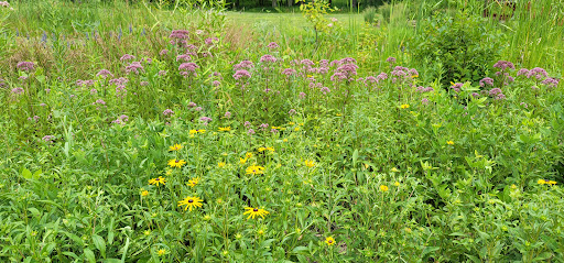 Country Club «Whitmoor Country Club», reviews and photos, 1100 Whitmoor Dr, Weldon Spring, MO 63304, USA