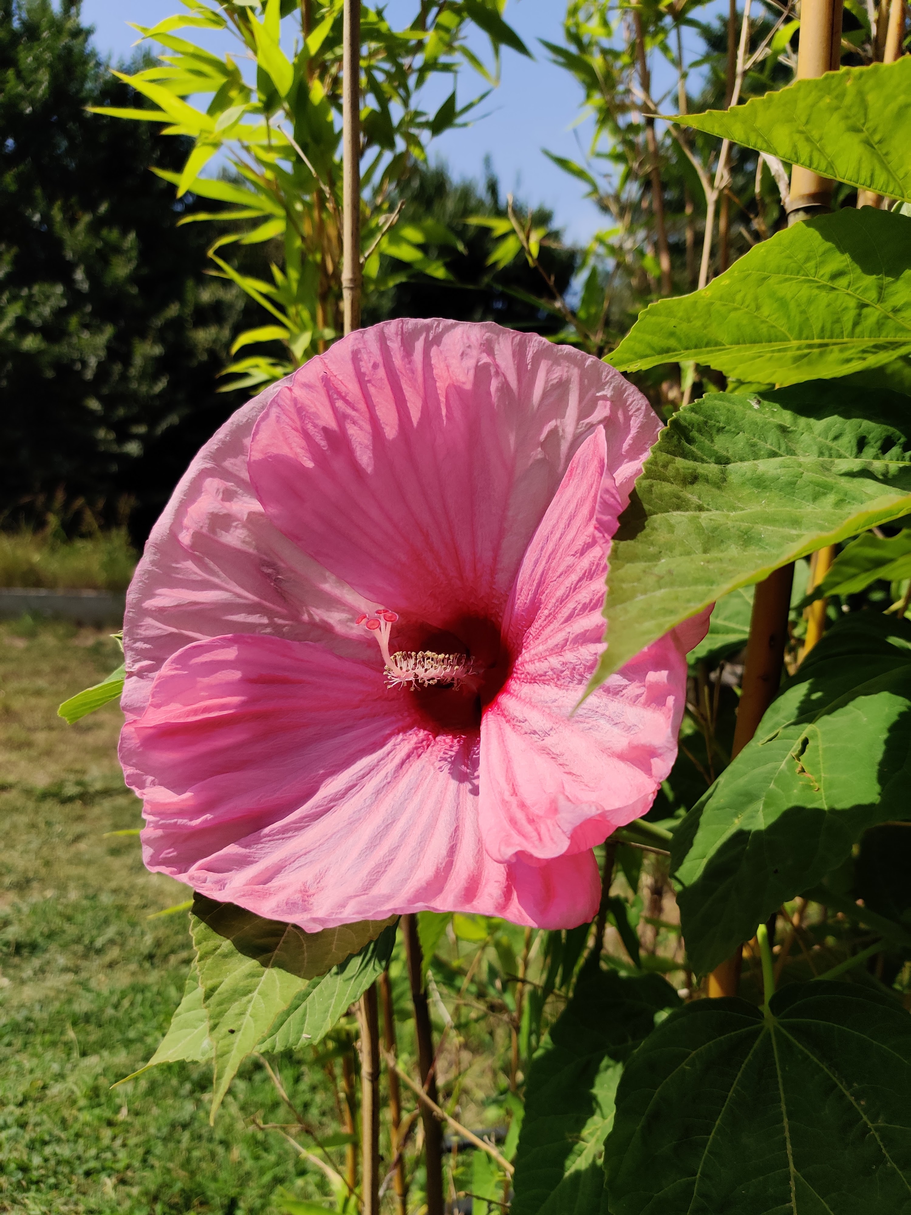 Photo n° 12 de l'avis de Antoine.. fait le 18/07/2023 à 17:01