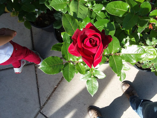 Shopping Mall «Tiffany Plaza Mall», reviews and photos, 7800 E Hampden Ave, Denver, CO 80231, USA