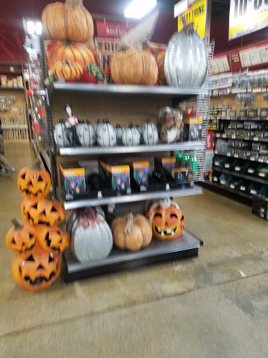 Hardware Store «Orchard Supply Hardware», reviews and photos, 300 Floresta Blvd, San Leandro, CA 94578, USA