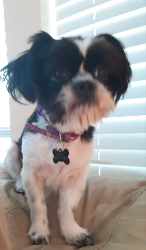 Pet Supply Store «PetSmart», reviews and photos, 1846 N Causeway Blvd B, Mandeville, LA 70471, USA