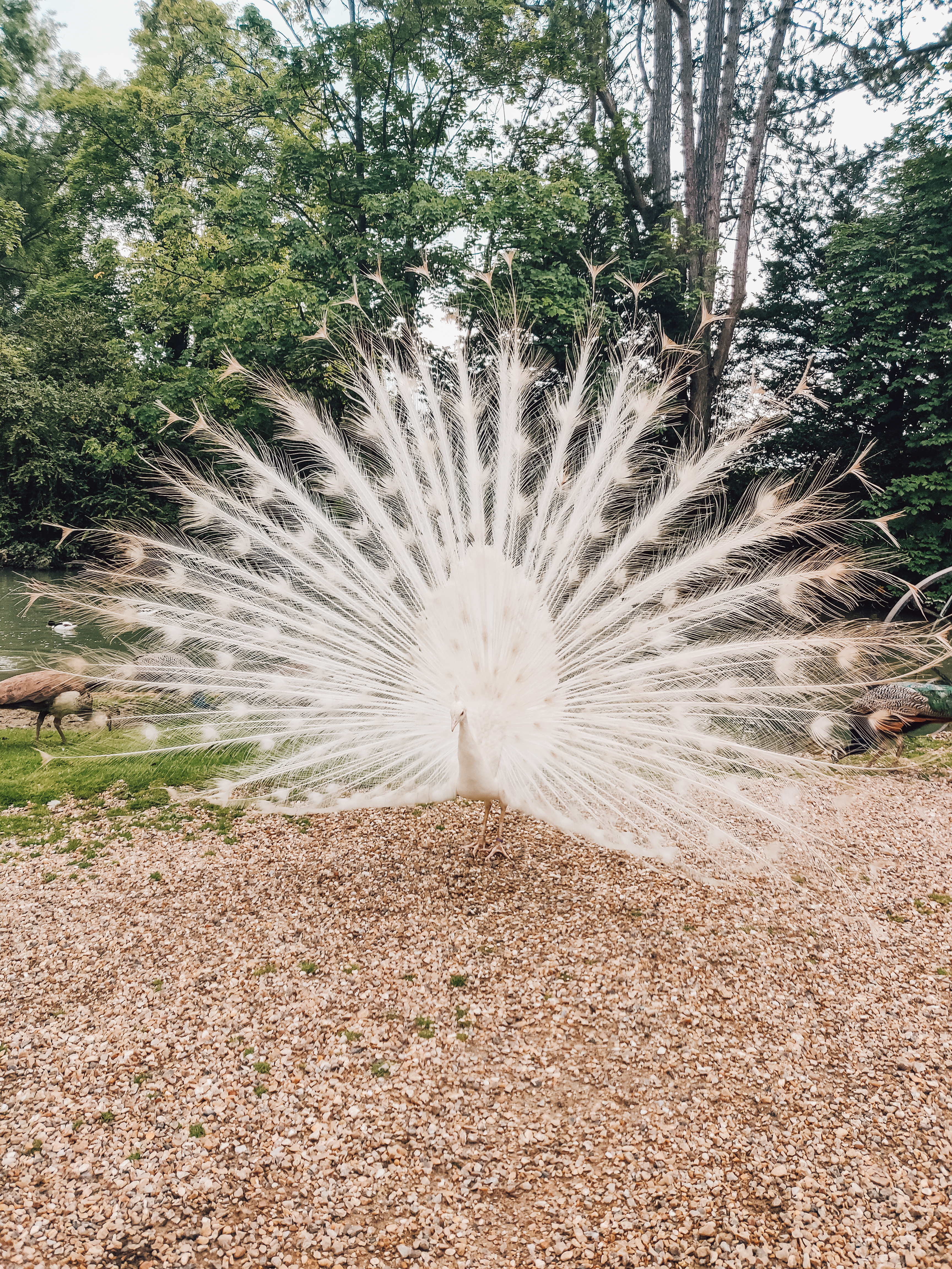 Photo n° 5 de l'avis de Chloé.b fait le 04/07/2021 à 12:42