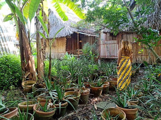 Saigon Garden Homestay 1