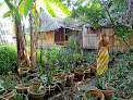 Couples cottages Ho Chi Minh