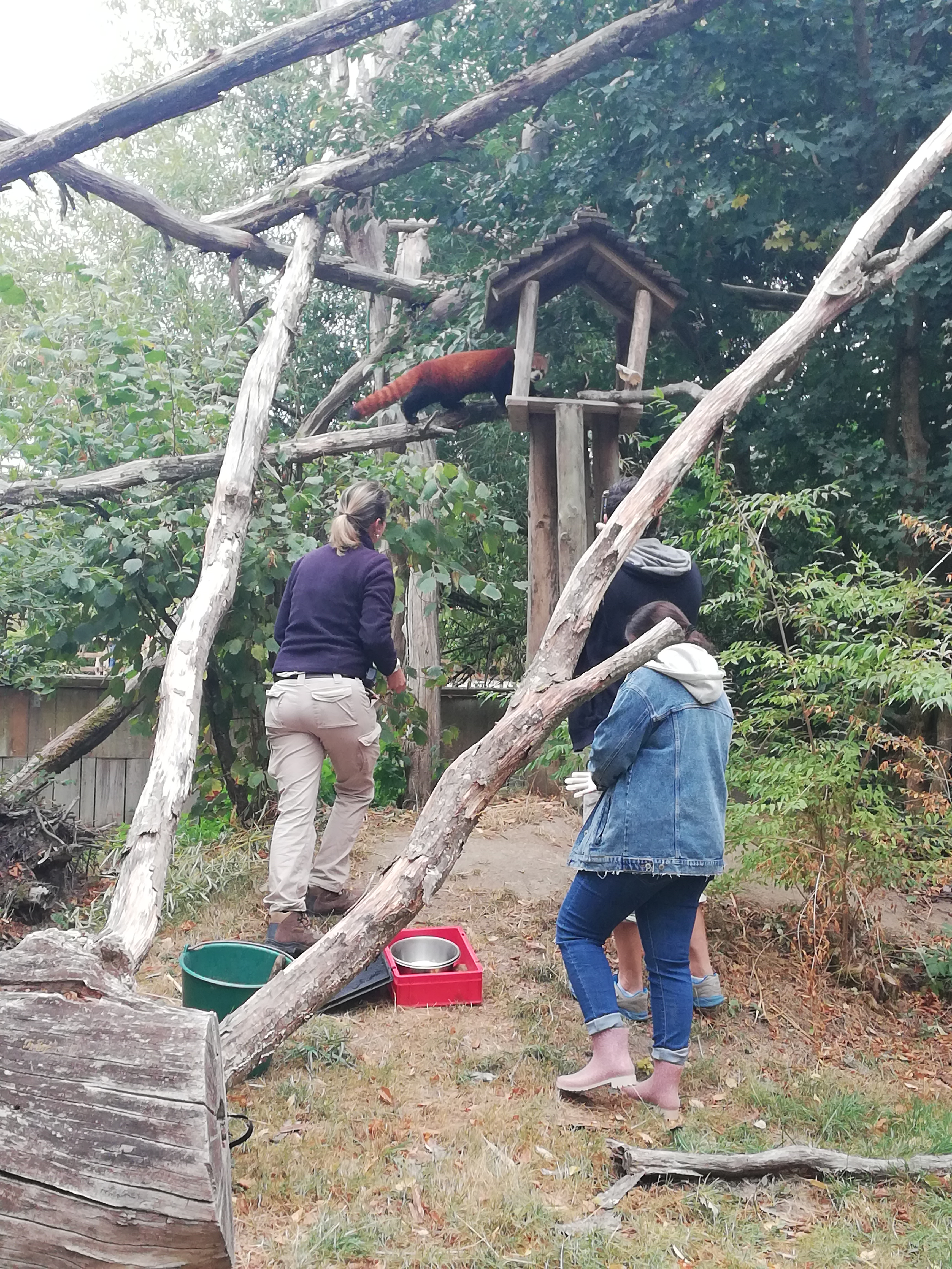 Photo n° 3 de l'avis de BEATRICE.I fait le 10/09/2019 à 18:21