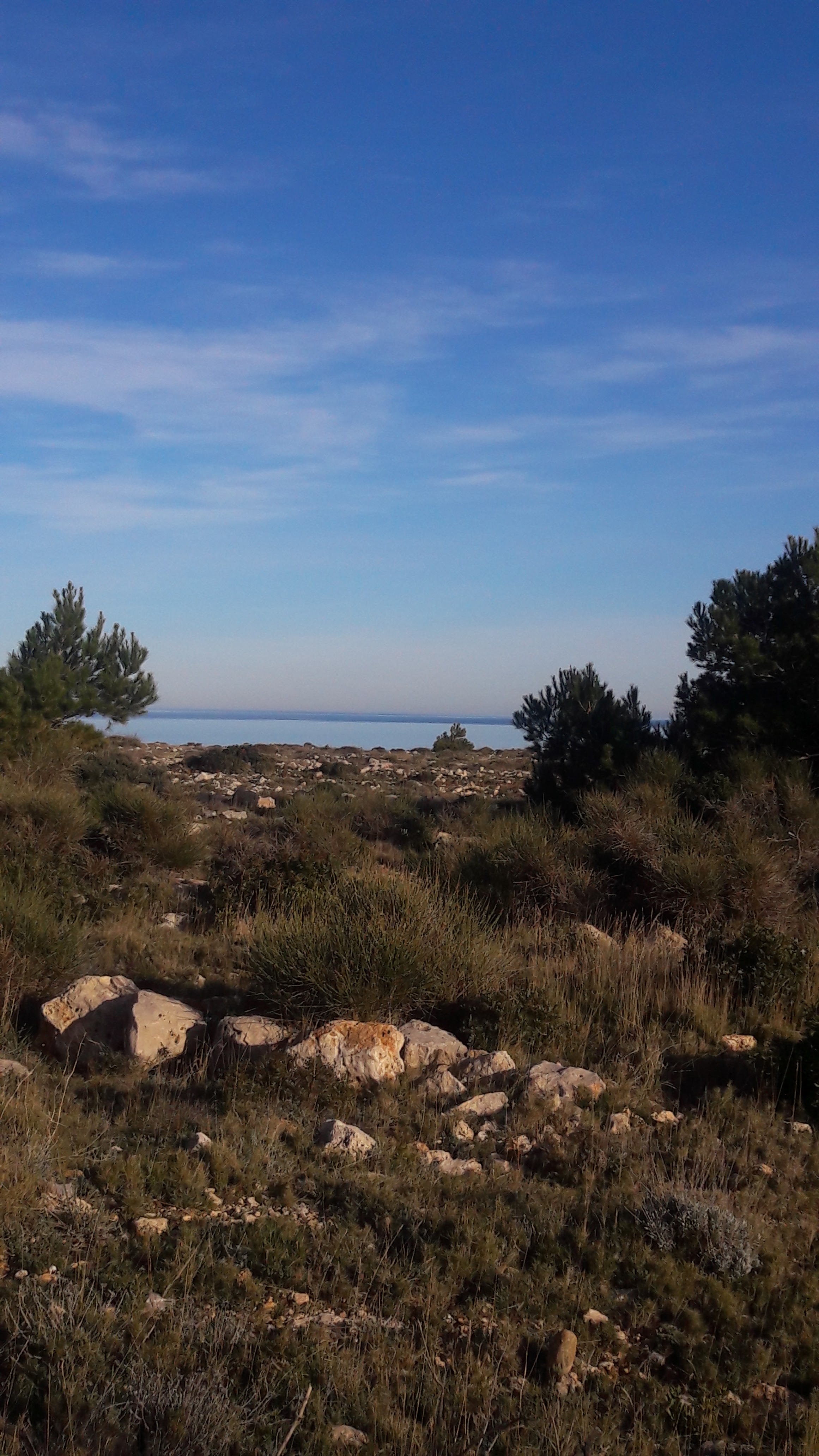 Photo n° 1 de l'avis de Christiane.i fait le 01/04/2019 à 05:50
