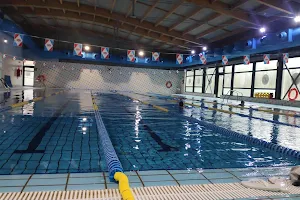 Sports and Aquatic Center Brunete image