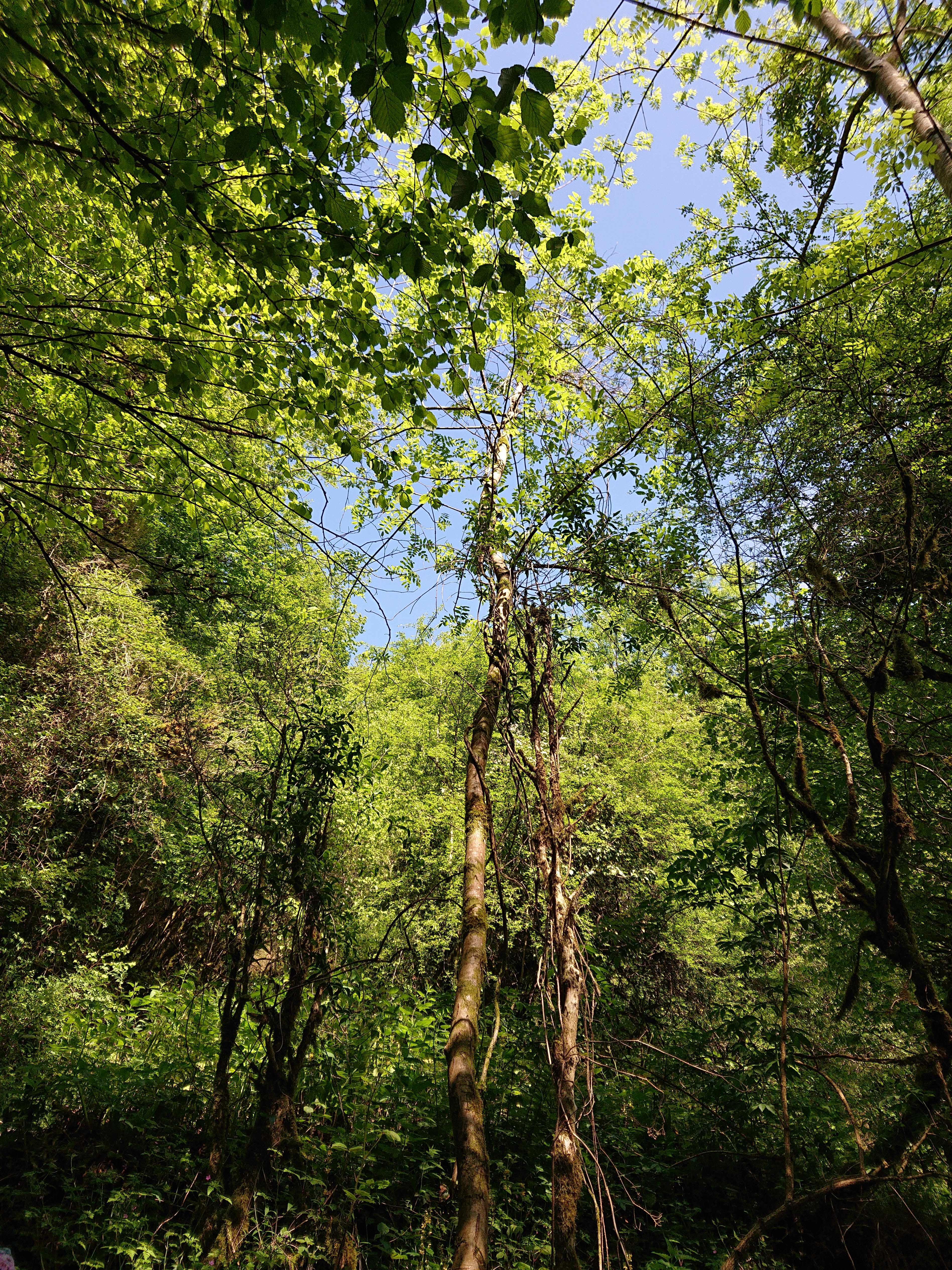 Photo n° 27 de l'avis de Clm.r fait le 22/05/2019 à 18:07