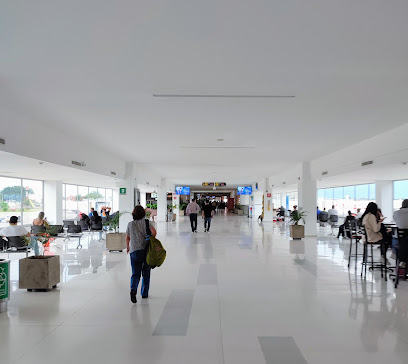 Aeropuerto Internacional Alfonso Bonilla Aragon
