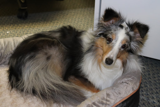 Jeweler «Innsbruck Jewelers», reviews and photos, 2030 Silver Lake Rd NW, New Brighton, MN 55112, USA